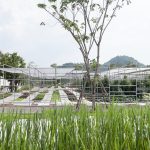 coro field 09
