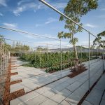 coro field 27