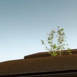 roof house 08