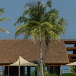 centara grand maldives 39