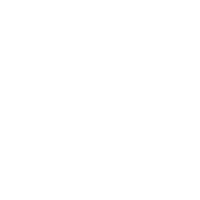 EXCELSUS GROUP