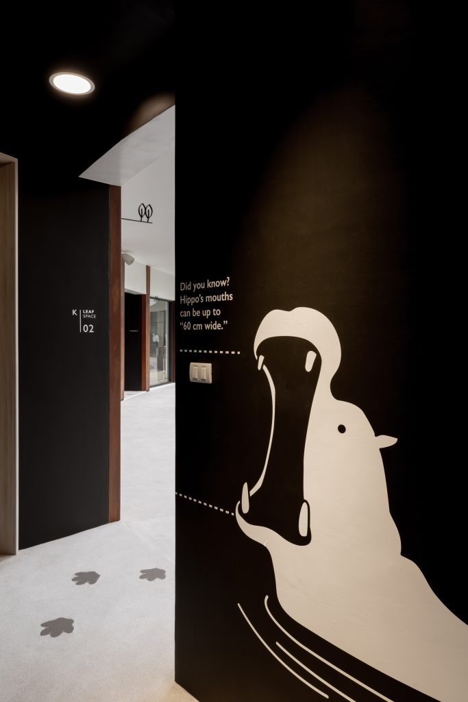 kls 41 graphic scaled