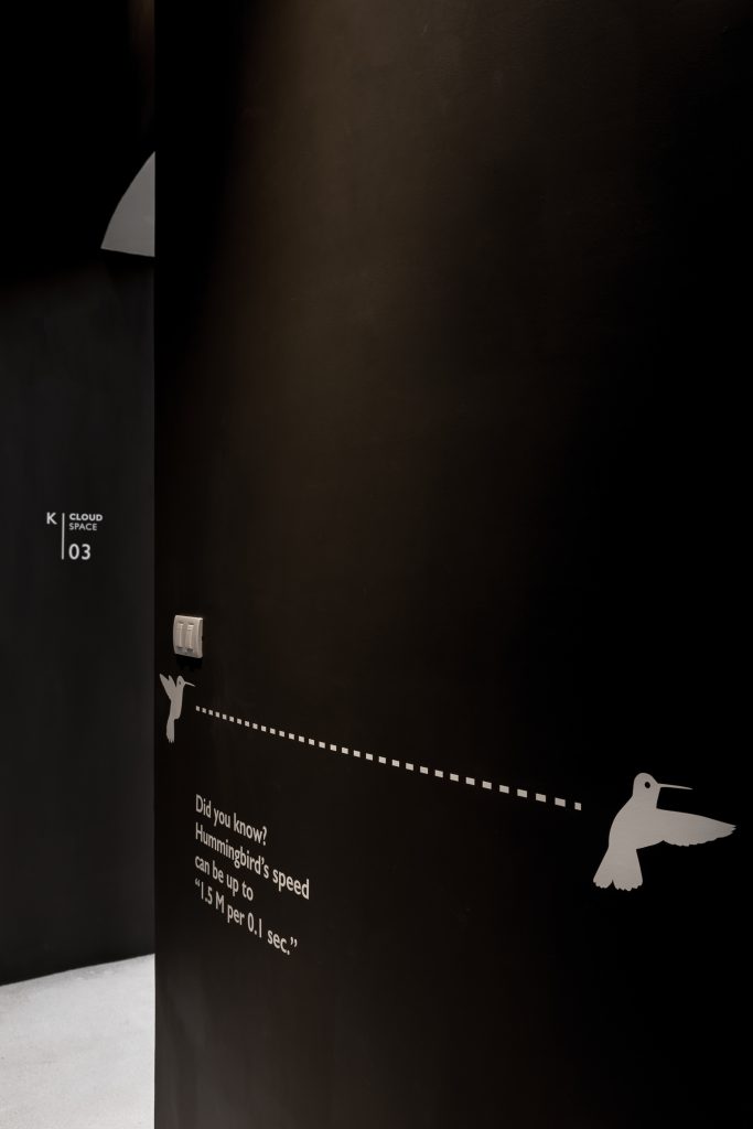 kls 42 graphic scaled