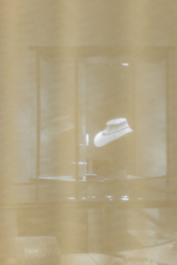 ananta pharam9 found 24 1 scaled