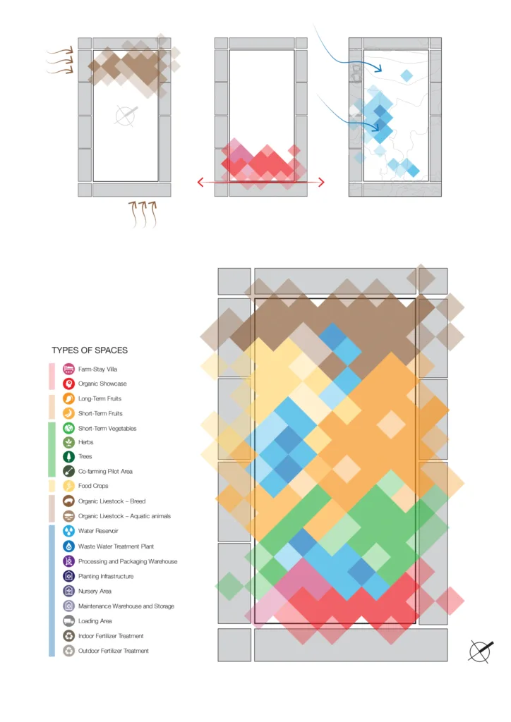 cuchi 02 scaled.webp