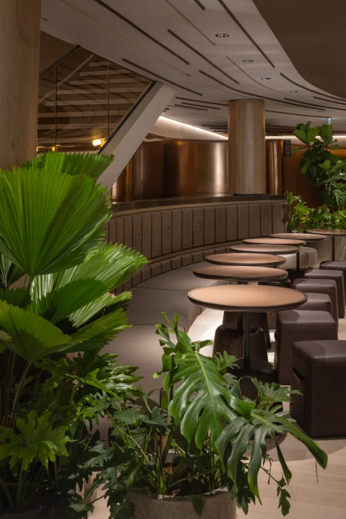 cafe amazon experience 33 scaled.webp